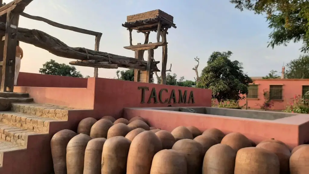 Scopri dove mangiare tipici piatti peruviani - azienda vinicola Tacama